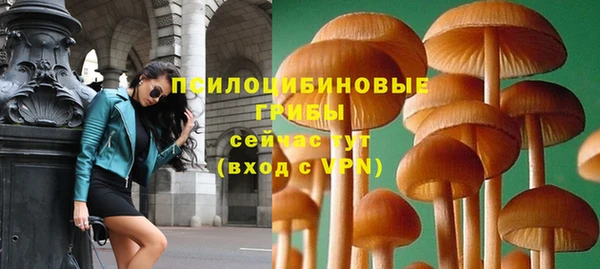 метамфетамин Алексеевка