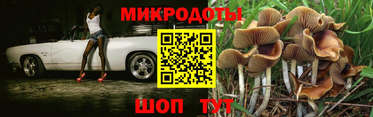 Псилоцибиновые грибы GOLDEN TEACHER Ленинск-Кузнецкий